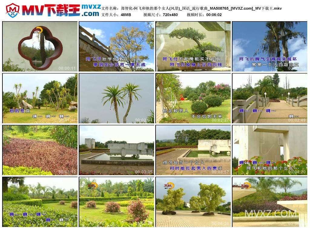 郑智化-阿飞和他的那个女人(风景)_国语_流行歌曲_MA508765